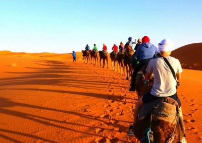 8 days Fes Camel trekking desert tour