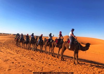 camel trekking in Merzouga