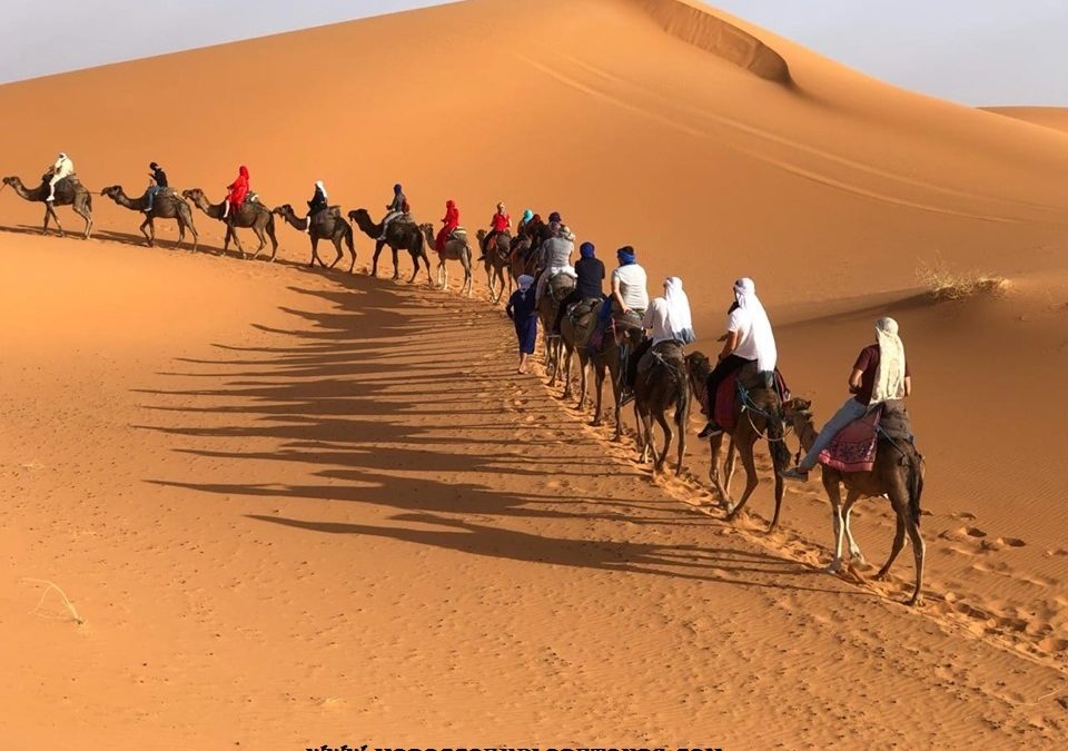 Marrakech Day Trip to Agafay Desert: Agafay Activities  