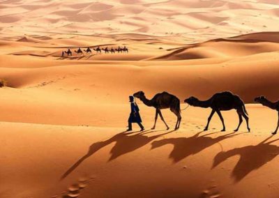 2 days Marrakech to Zagora desert tour