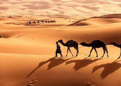 Excursión de 2 días desde Marrakech a Zagora