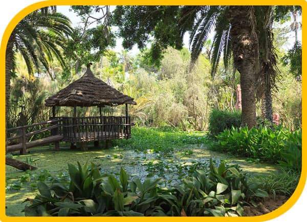 Exotic-Gardens-of-Bouknadel