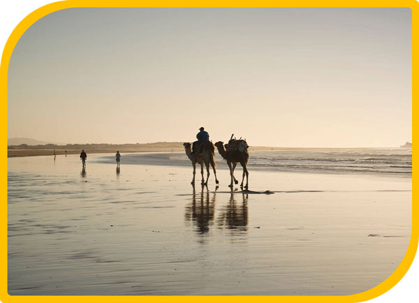 camel-truck-essaouira