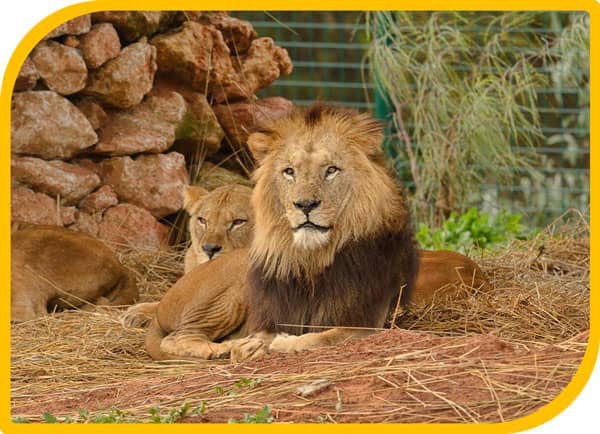 rabat-zoo