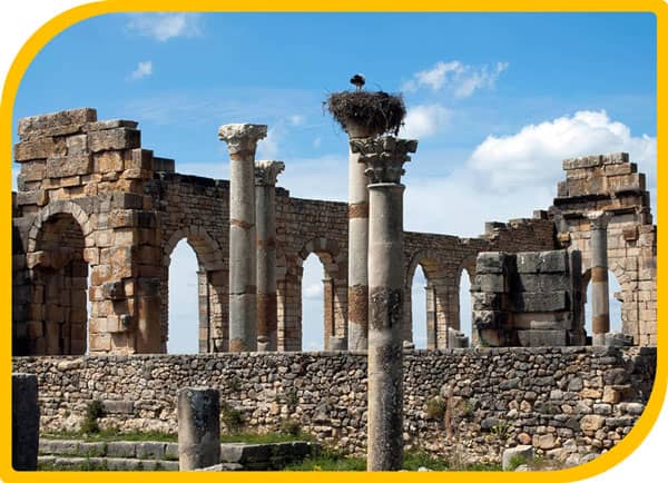 volubiliss