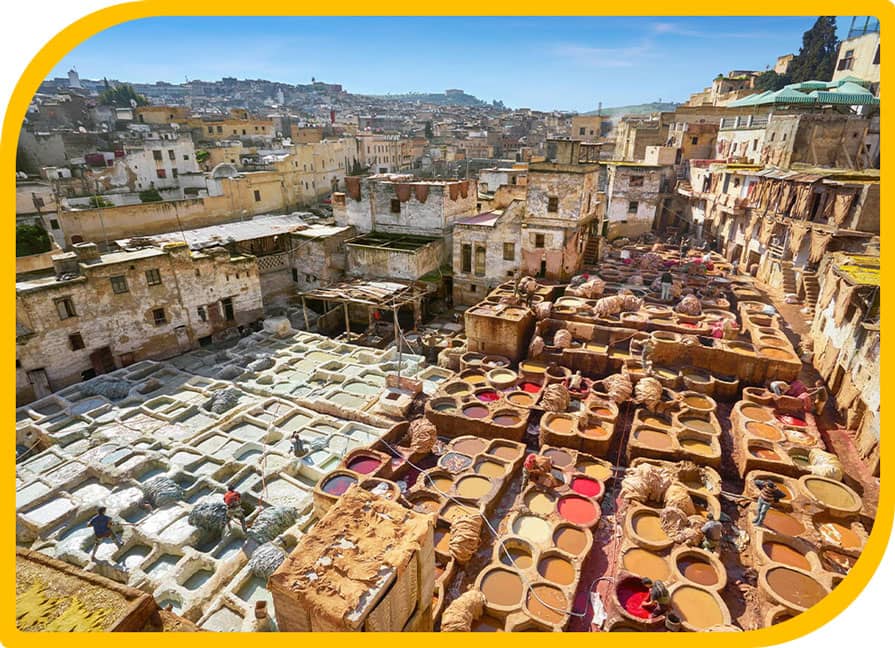 FES